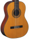 Классическая гитара Washburn OC 11