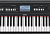 Синтезатор с утяжеленной клавиатуй Yamaha - NP V60 