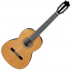 Классическая гитара Ibanez G850 NT
