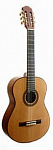 Классическая гитара Maxwood MCS 7560