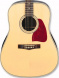 Акустическая гитара Ibanez AW10 NT