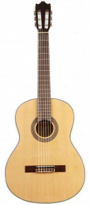 Классическая гитара Ibanez G100 NT