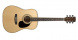 Акустическая гитара Cort AD 880 NS
