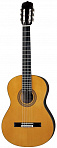 Классическая гитара Aria AK 20