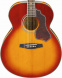 Акустическая гитара Ibanez SGT630E HS