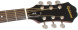Акустическая гитара EPIPHONE DR-100