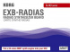 Опциональная карта KORG EXB-RADIAS