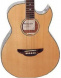 Акустическая гитара Maxwood 6628