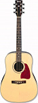 Акустическая гитара Ibanez AW10 NT